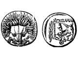 Coin of the island of Samos